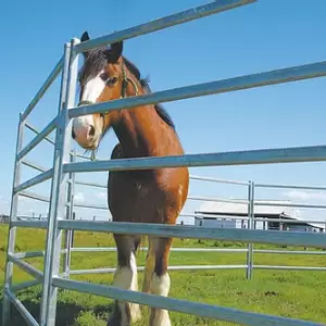 Fence Braces