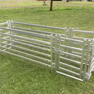 Sheep Race 3m x 0.6m 6 Oval Rails