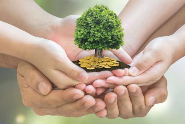 Four hands, of various sizes, cupping together to hold a small tree with lush green leaves. The tree is planted on a pile of golden coins, symbolizing growth, unity, and prosperity. The background is softly blurred with a greenish hue—ideal imagery for a Melbourne Accounting Firm specializing in tax advice.